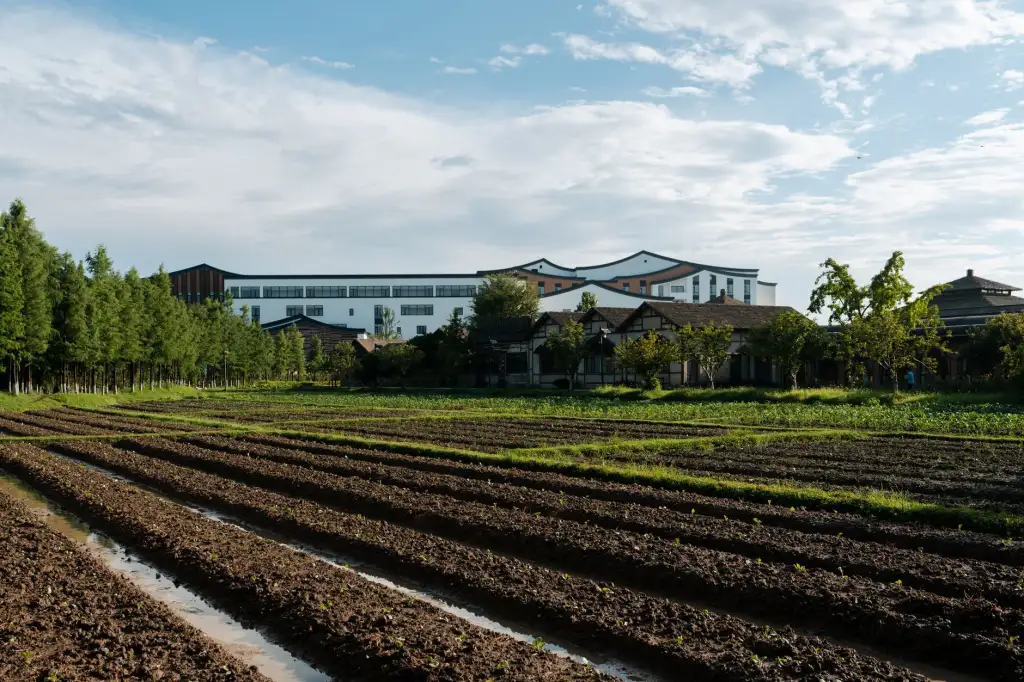 华中食品饮料行业自动化包装线技术升级趋势与方案解析