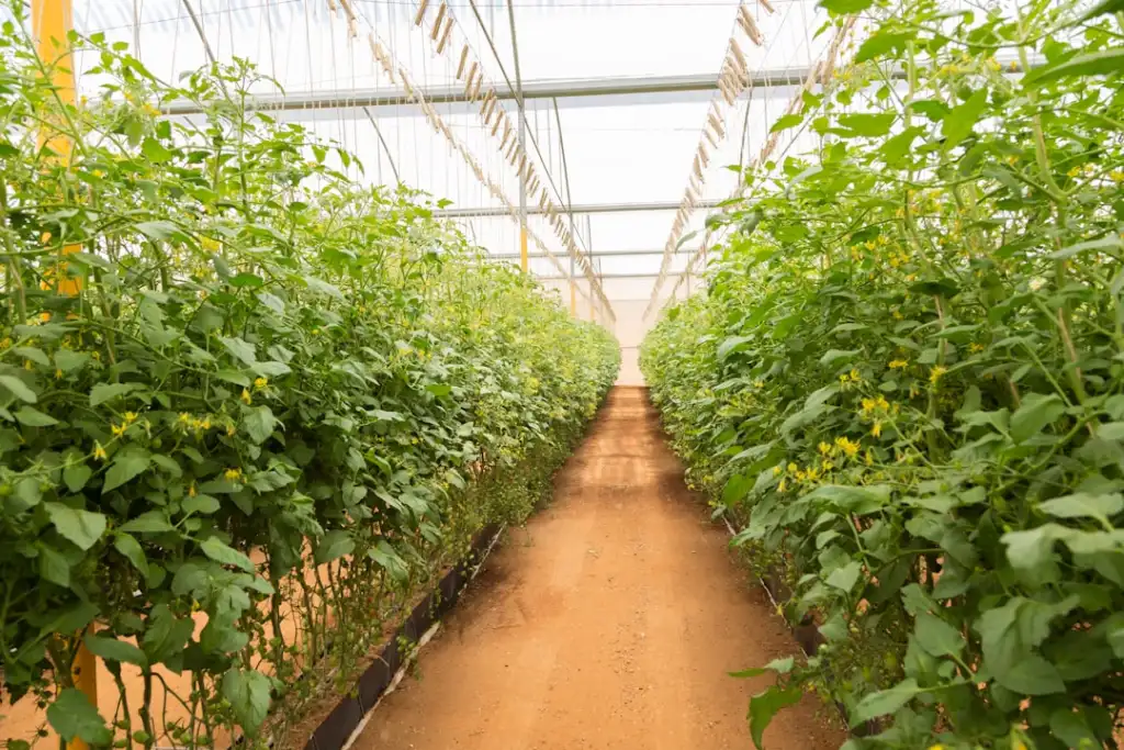 码垛机在化工企业中的选型要点与效率提升方案