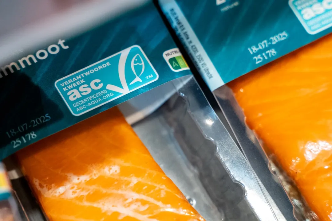 湖北食品饮料产线升级：自动化包装线与码垛机集成方案解析