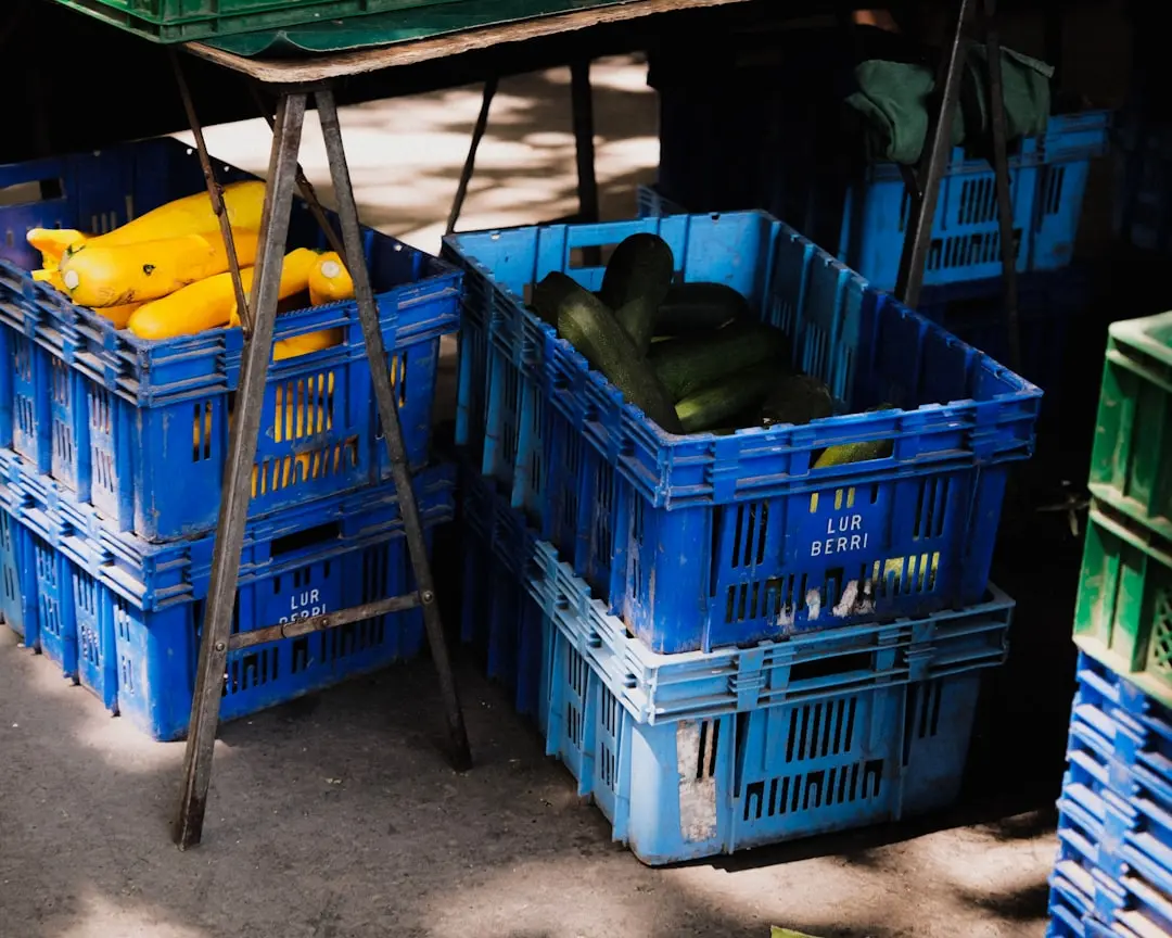 速鑫斌自动化包装线在食品饮料行业的效率提升实测数据